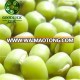 Export Wholesale Round Green Mung Beans Specification for Canned Food