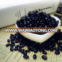 Organic vegetables seeds black beans