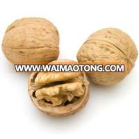 2017 new crop chinese walnut kernels with shell in shell