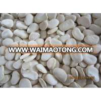 2014 crop flat white kidney beans