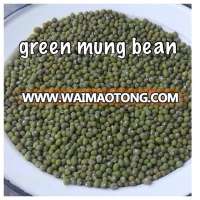 High quality green mung beans from Vietnam with best price ever for sale