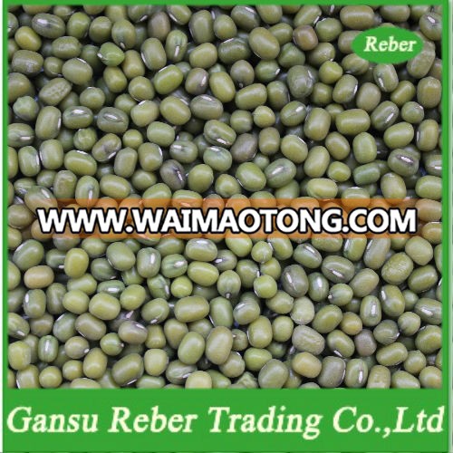 Green Mung Beans